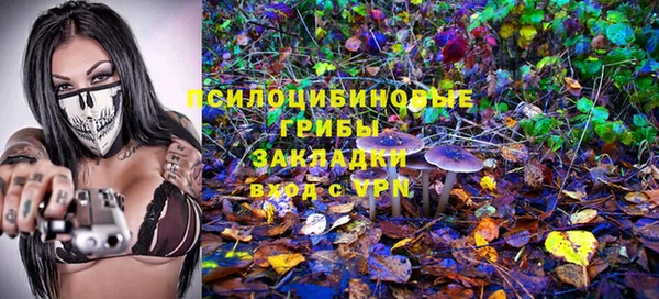 индика Алексеевка