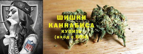 сатива Пестово