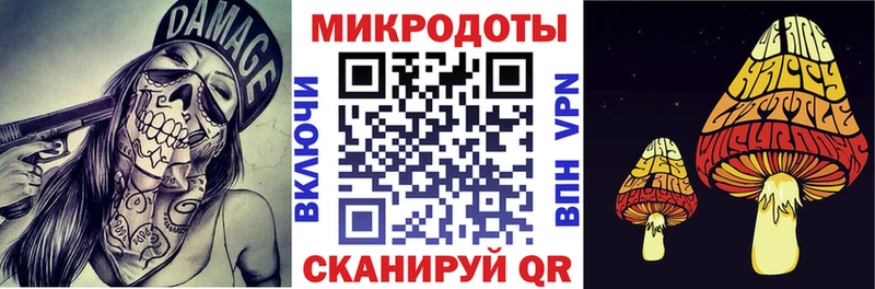 kraken ссылки Разумное Псилоцибиновые грибы Psilocybe